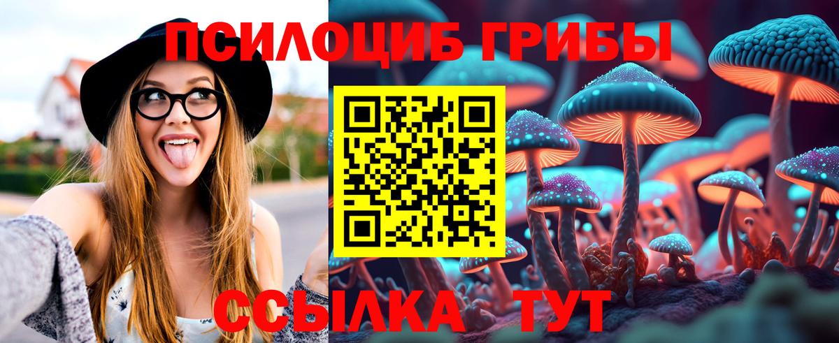 Чапаевск  Псилоцибиновые грибы MAGIC MUSHROOMS  Вход с VPN  Галлюциногенные грибы Psilocybe 