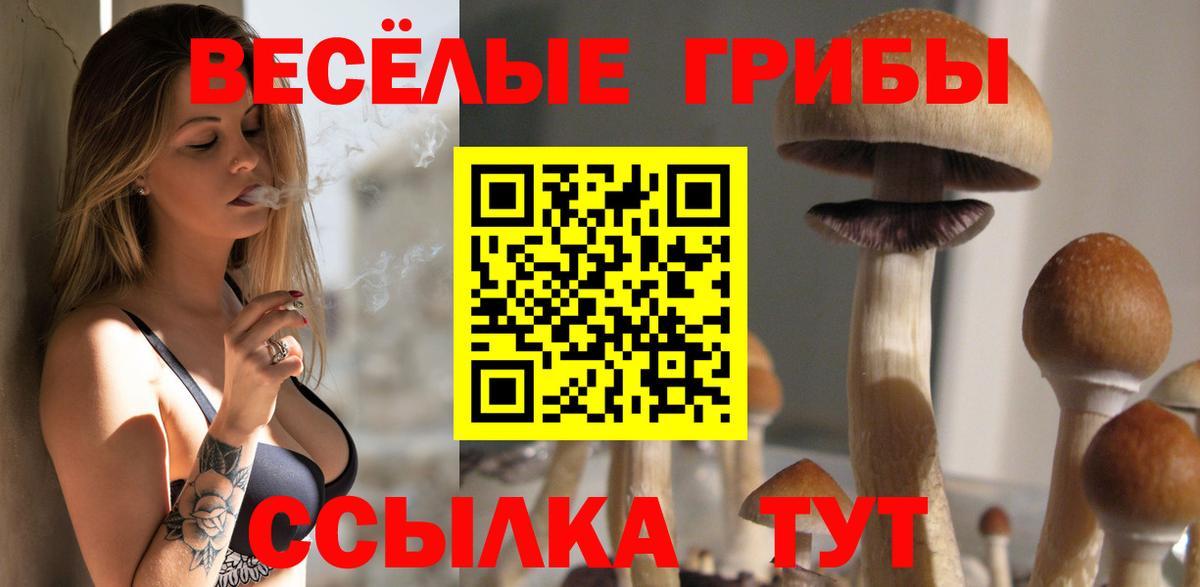 Псилоцибиновые грибы мицелий Чапаевск