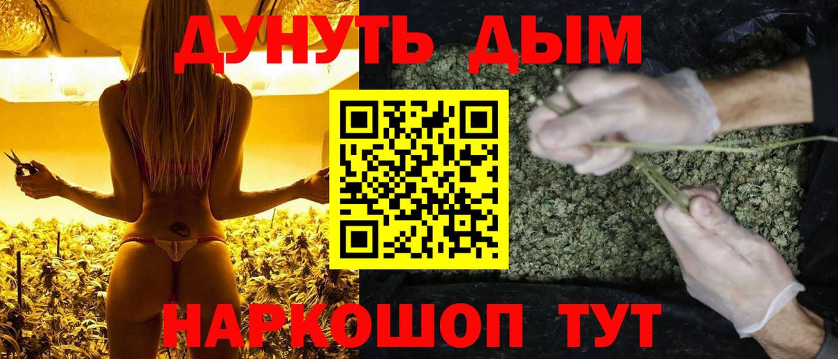 Конопля тримм  Бошки Шишки тримм  Вход с VPN  Чапаевск 